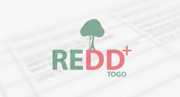 Axes stratégiques préliminaires de la REDD+ au Togo